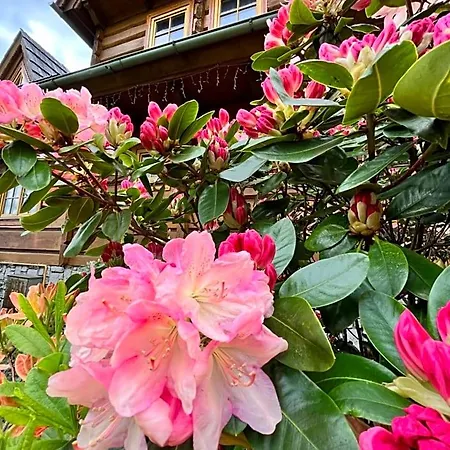 查塔索斯诺福卡旅馆 住宿加早餐酒店