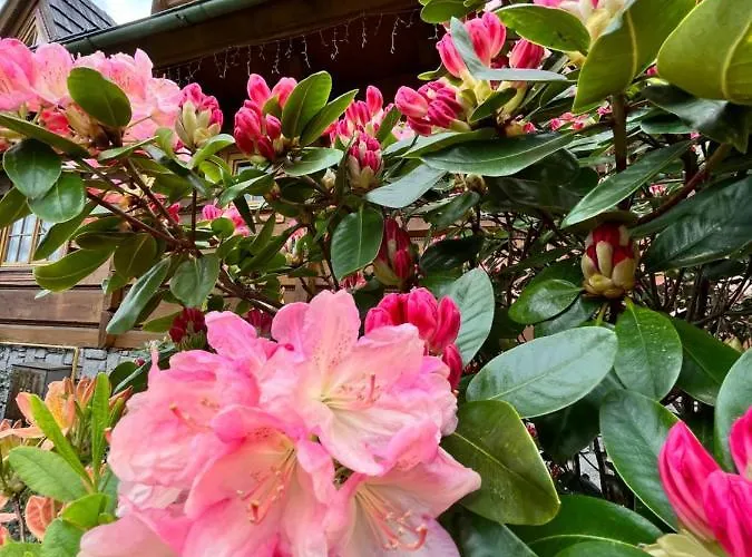 Chata Sosnowka Residence Bed & Breakfast 3*